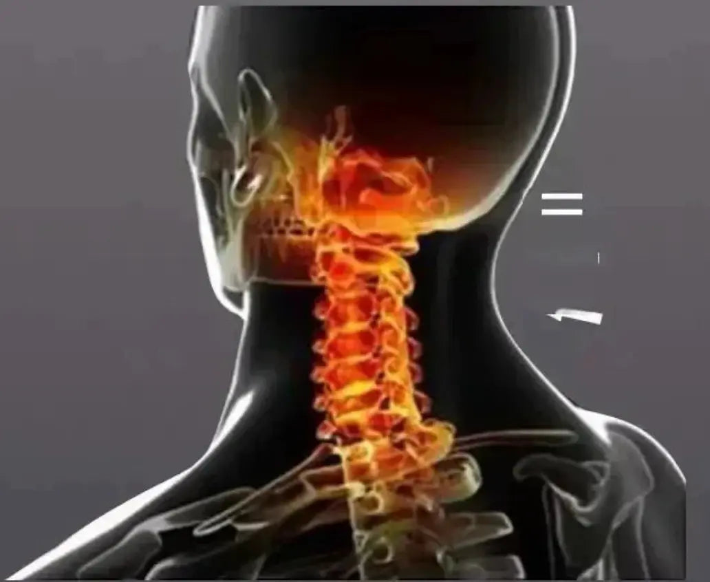Ilustración médica de las vértebras cervicales y la columna humana, mostrando la zona de alivio de tensión y corrección postural que proporciona la almohada ortopédica